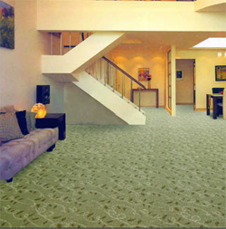 Carpet Installations 