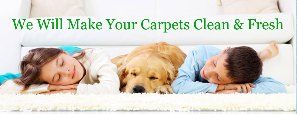 carpet cleaning slider 3